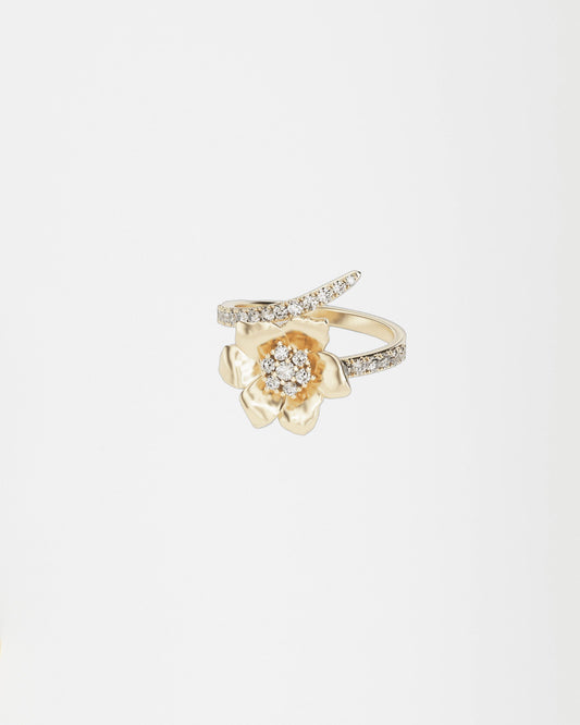 Золота Каблучка Анемона