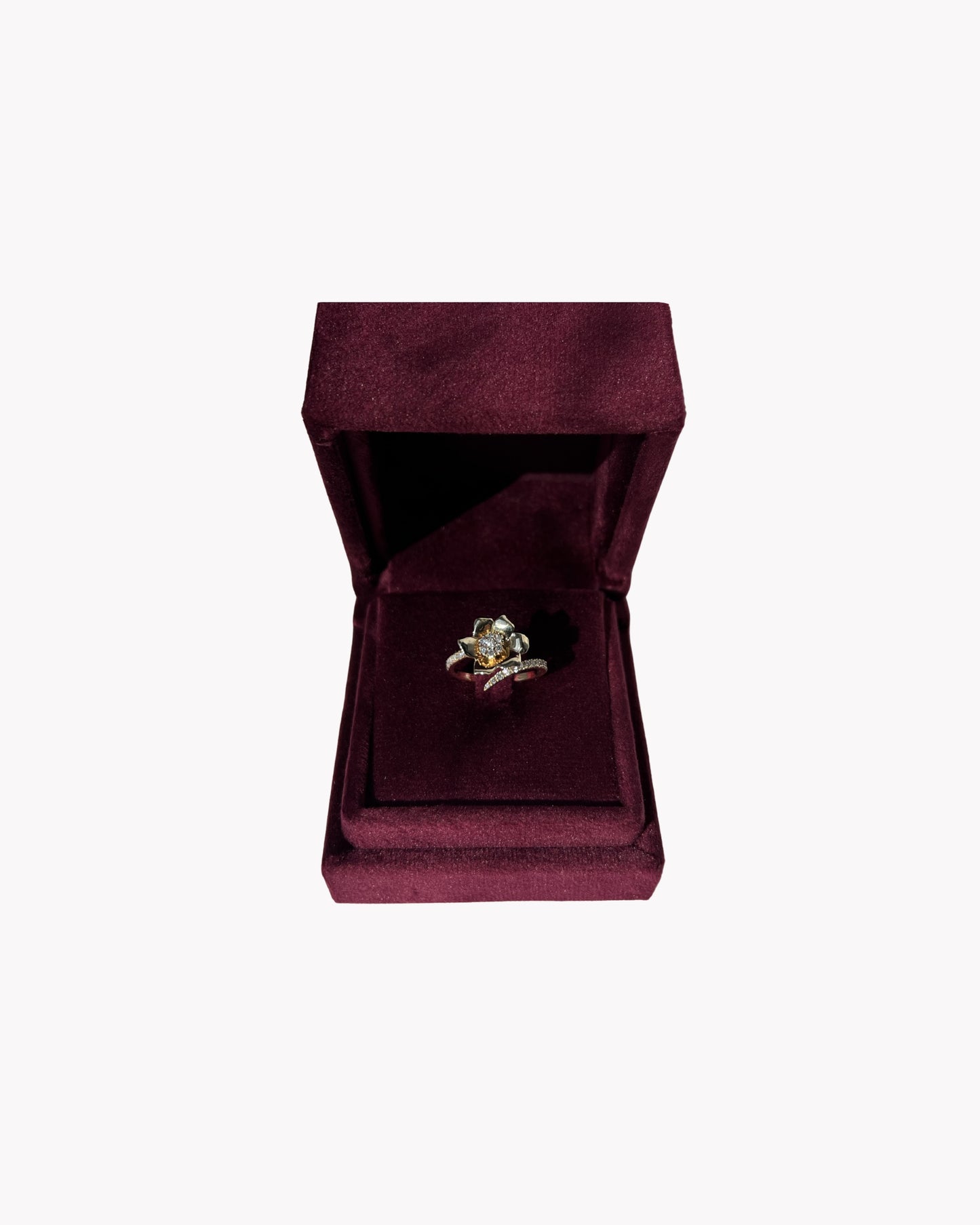 Золота Каблучка Анемона